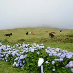 Inatel Flores 4* サンタ・クルス・ダス・フローレス