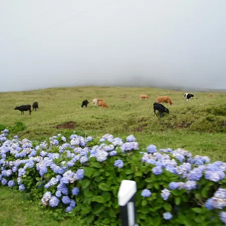 Inatel Flores 4* Santa Cruz das Flores