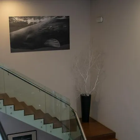 Inatel Flores Hotel 4*