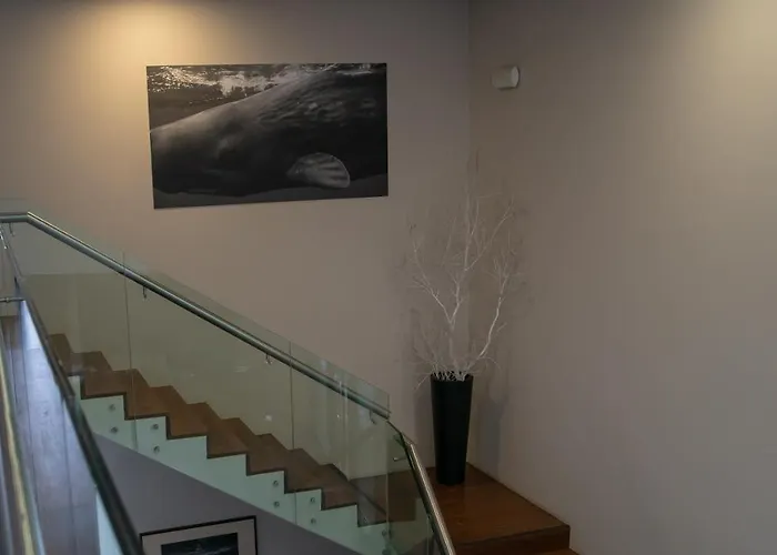 Inatel Flores Hotel 4*