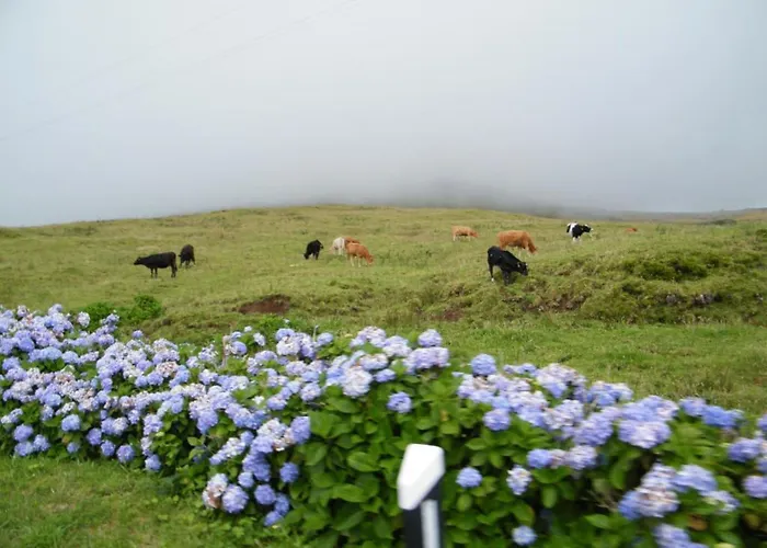 Inatel Flores 4* Santa Cruz das Flores
